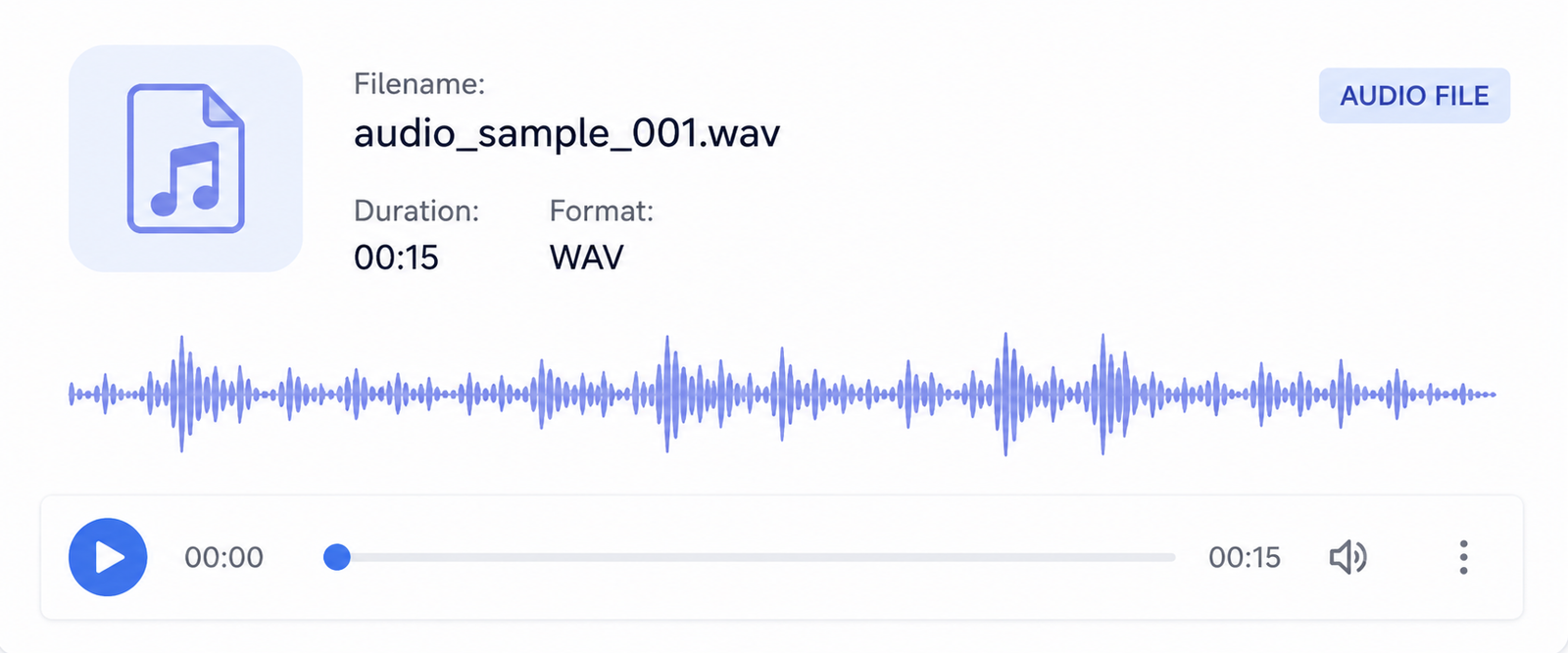 Audio Annotation Services Preview